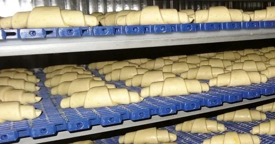 spiral conveyor